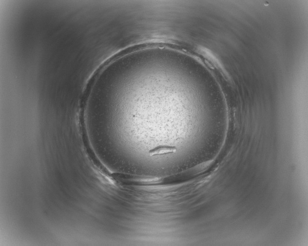 X0000071801260200607072042