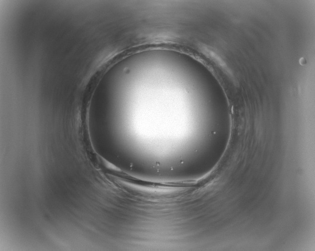 X0000071801261200607072042