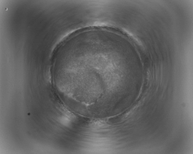 X0000071801262200607072042