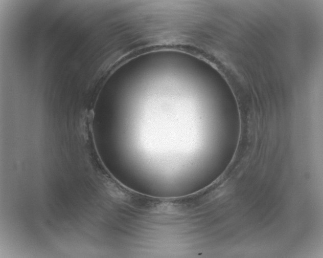 X0000071801265200607072042