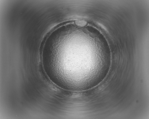 X0000071801267200607072042