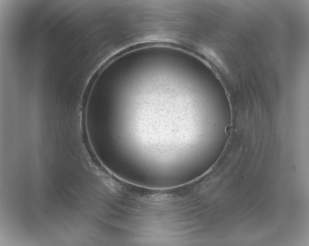 X0000071801268200607072042