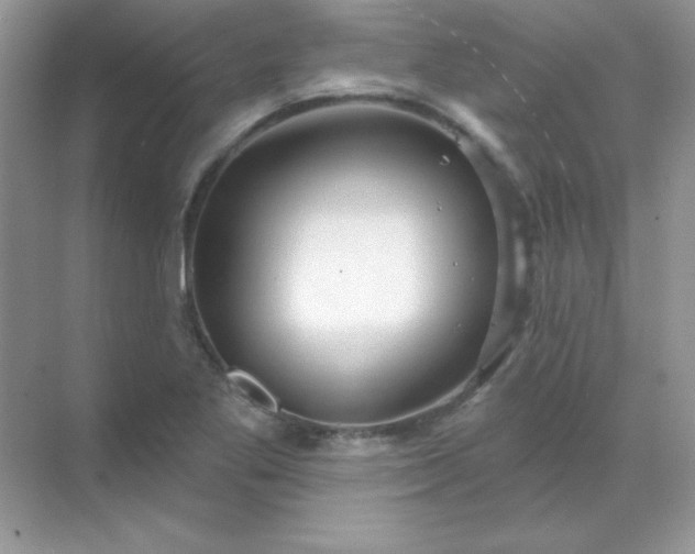 X0000071801269200607072042