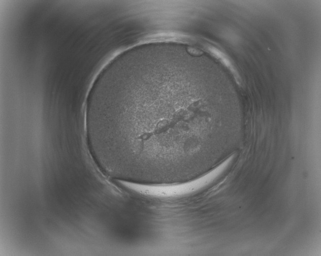 X0000071801275200607072042