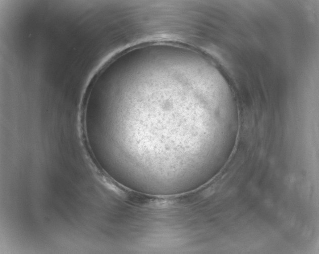 X0000071801278200607072042