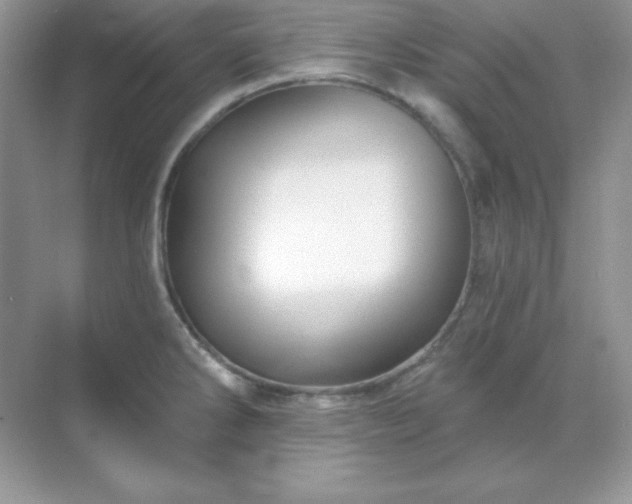 X0000071801286200607072042