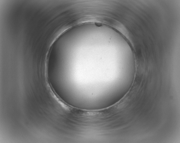 X0000071801290200607072042