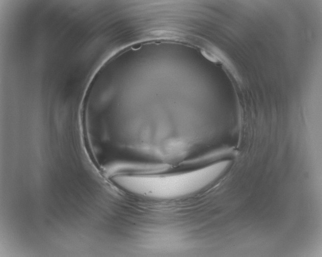 X0000071801291200607072042