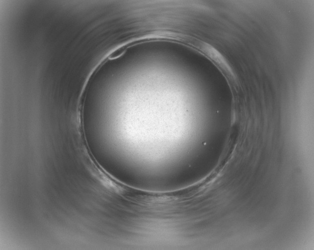 X0000071801292200607072042