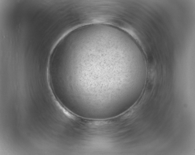 X0000071801294200607072042