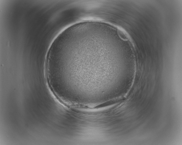 X0000071801295200607072042