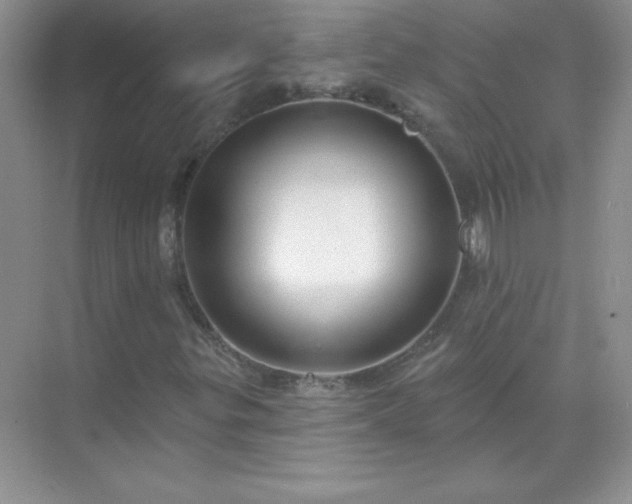 X0000071801299200607072041