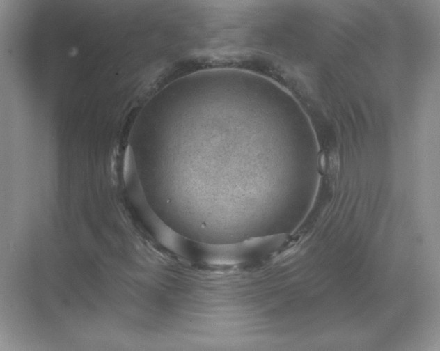 X0000071801300200607072041