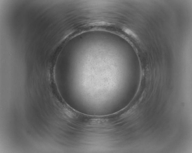 X0000071801305200607072041