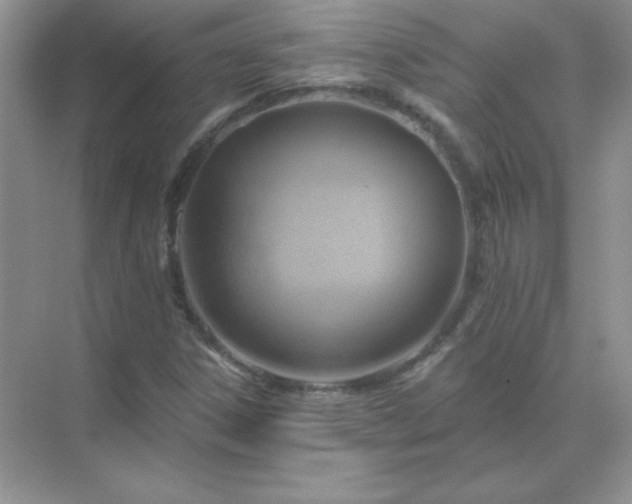 X0000071801306200607072041