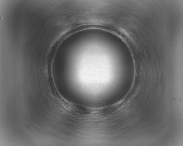 X0000071801307200607072041