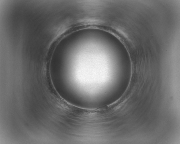 X0000071801309200607072041