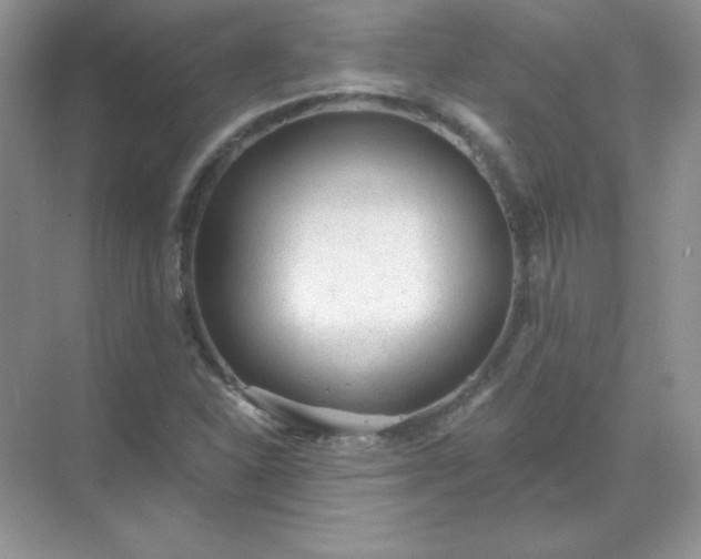 X0000071801310200607072041