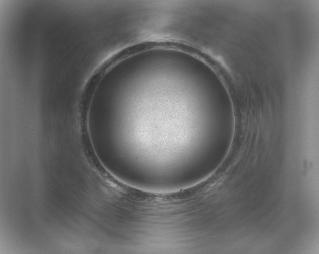 X0000071801311200607072041