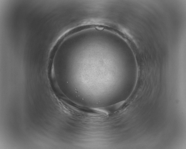 X0000071801312200607072041