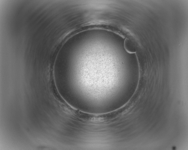 X0000071801313200607072041