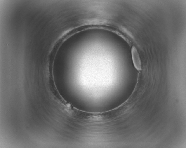 X0000071801315200607072041