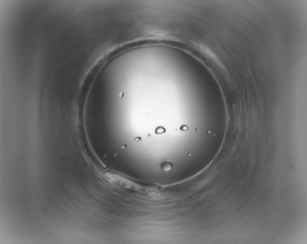 X0000071801318200607072041