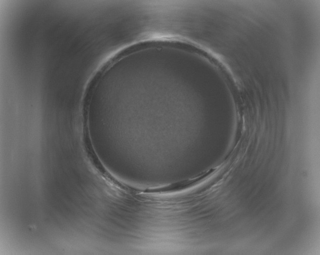 X0000071801319200607072041