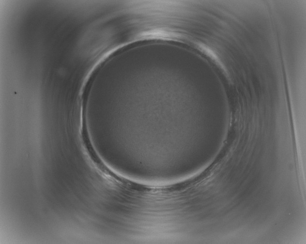 X0000071801323200607072041