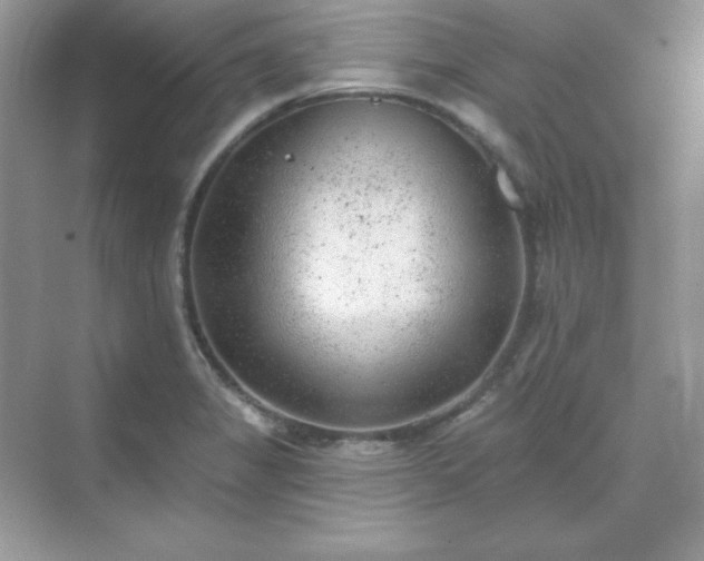 X0000071801325200607072041