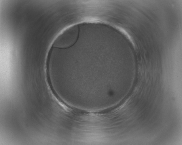 X0000071801327200607072041