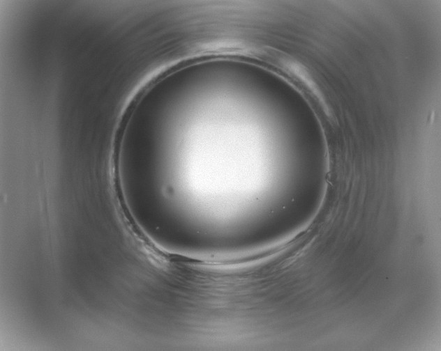 X0000071801328200607072041