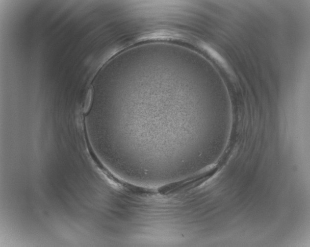 X0000071801329200607072041