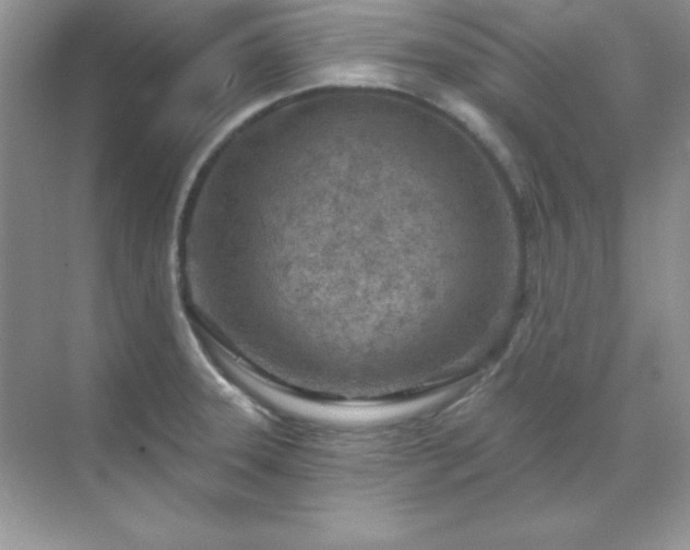 X0000071801331200607072041