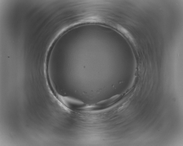 X0000071801334200607072042