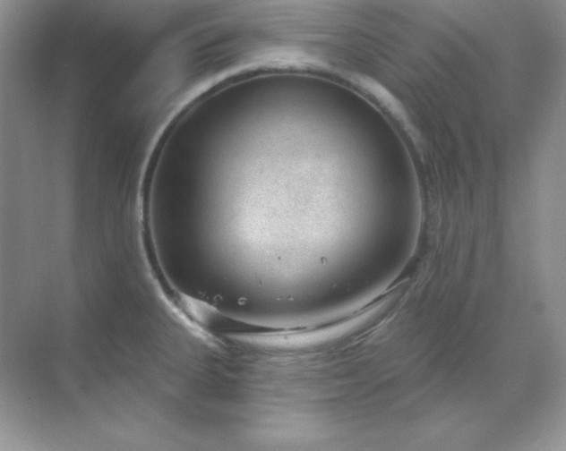 X0000071801335200607072042