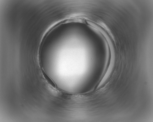 X0000071801336200607072042