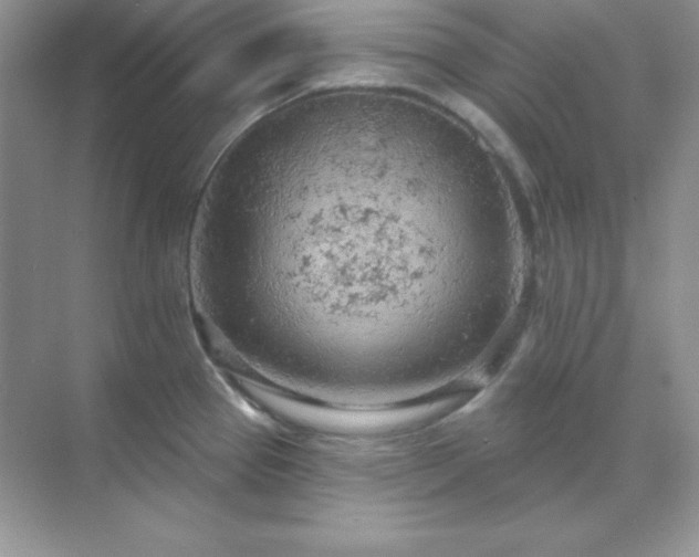 X0000071801337200607072042