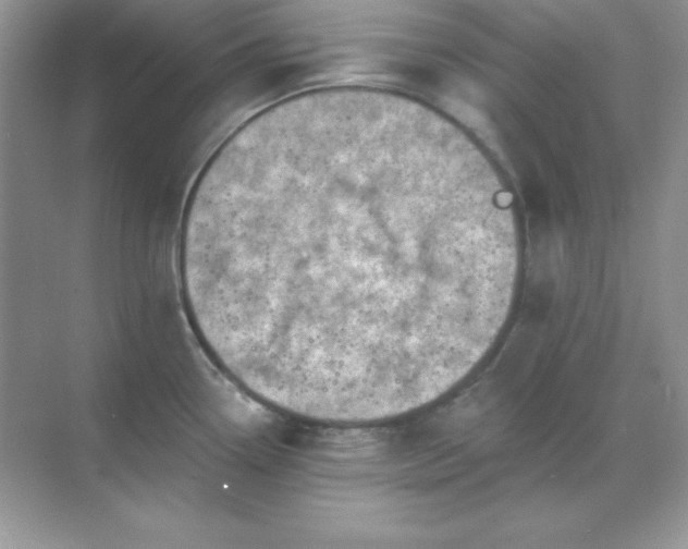 X0000071801338200607072042