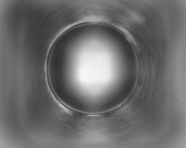 X0000071801343200607072042