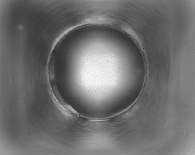 X0000071801344200607072042