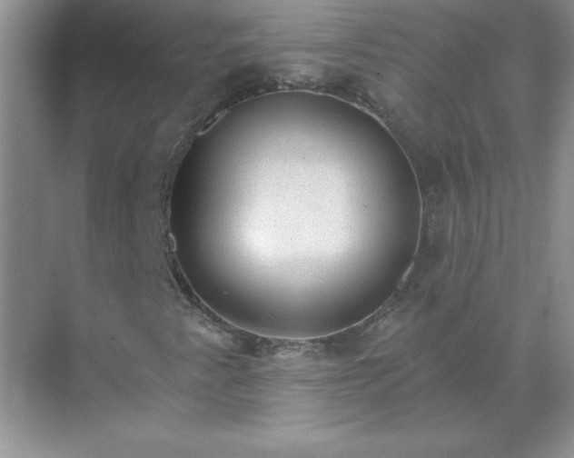 X0000071801345200607072041