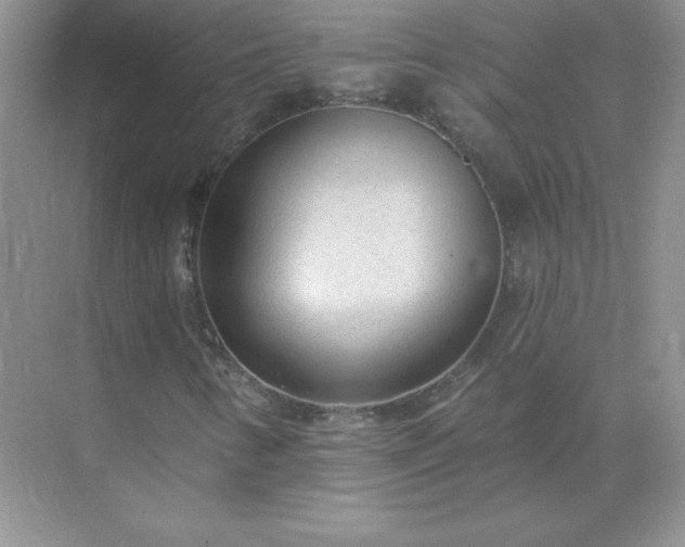 X0000071801346200607072041