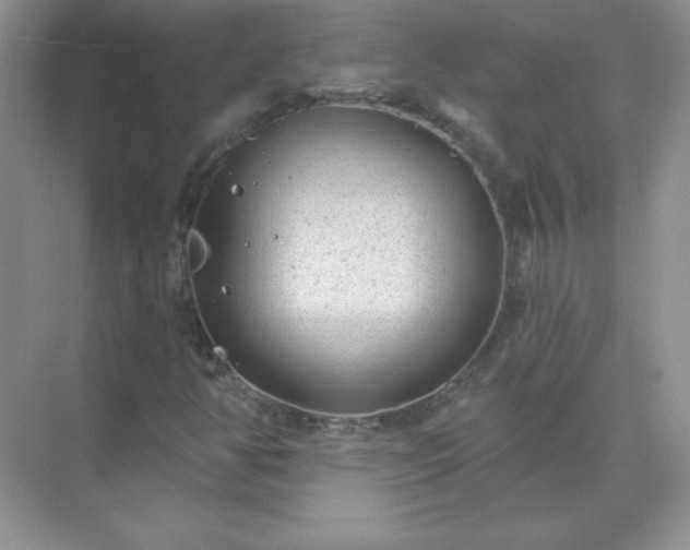 X0000071801350200607072041