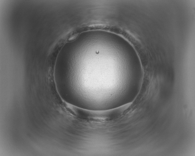 X0000071801351200607072041