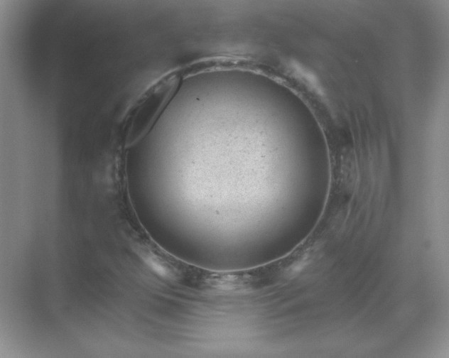 X0000071801352200607072041