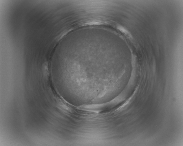 X0000071801353200607072041