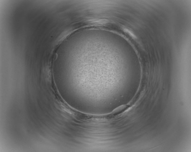 X0000071801354200607072041