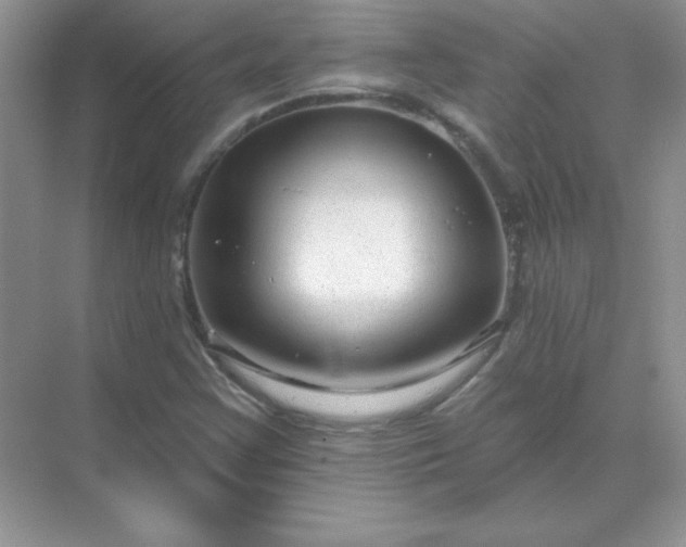 X0000071801355200607072041