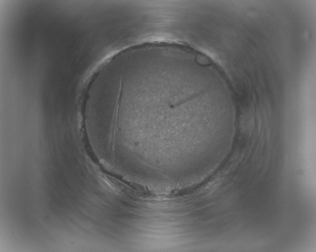 X0000071801359200607072041